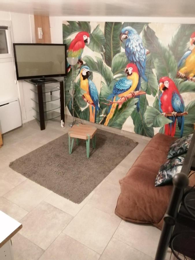Studio Les Oiseaux Saint-Georges-sur-Baulche Dış mekan fotoğraf